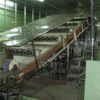 Instant Dried Rice Slice Noodles Production Line