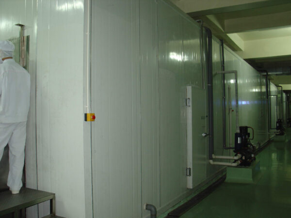 Instant Dried Rice Slice Noodles Production Line