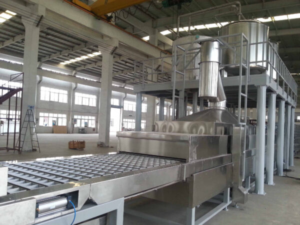 油炸方便面生产线6-面块油炸机.0 Fried Instant Noodles Production Line