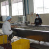 油炸面生产线-切断折叠分排落盒Cut, fold, dividing, and drop into the box.1 Fried Instant Noodles Production Line