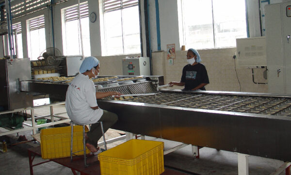 油炸面生产线-切断折叠分排落盒Cut, fold, dividing, and drop into the box.1 Fried Instant Noodles Production Line